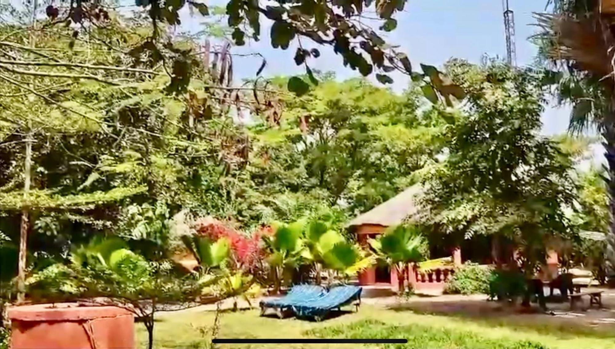 Little'S Nature Retreat Kartong Extérieur photo