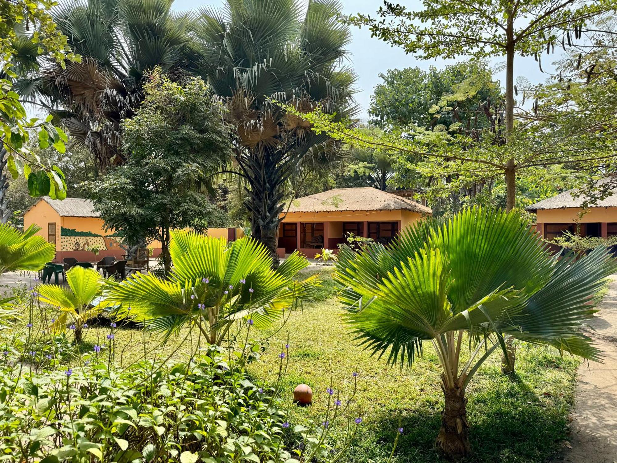 Little'S Nature Retreat Kartong Extérieur photo
